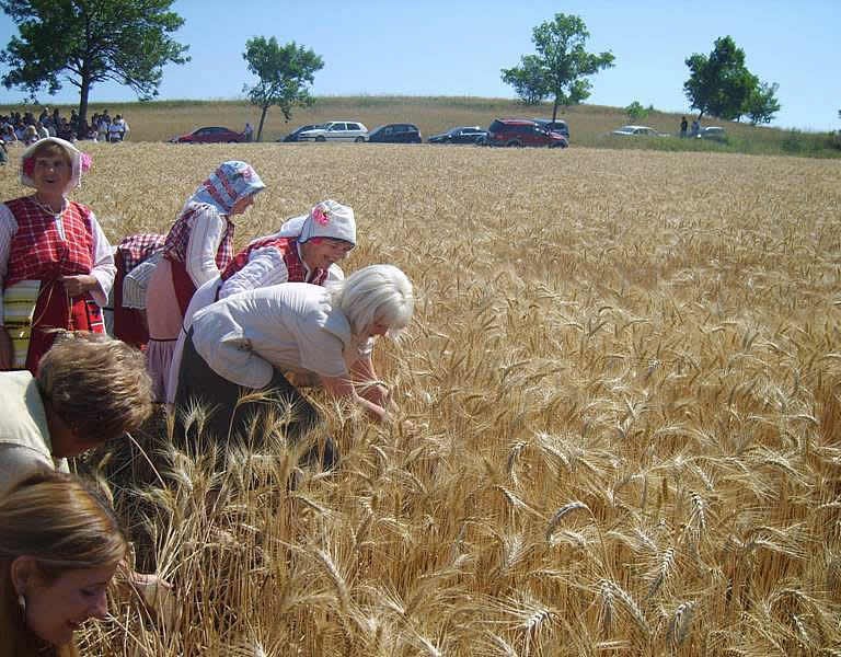 VІІІ Тракийски жътварски събор VІІІ Тракийски жътварски събор