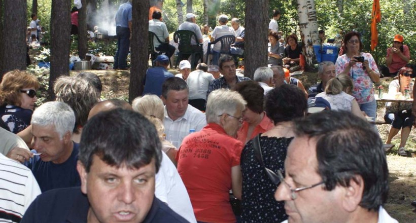 Славовица
