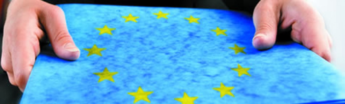 Петя Ставрева: България трябва да заработи по правилата на Общността