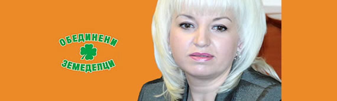 Петя Ставрева: Консолидацията в демократичното пространство е алтернативата на хаоса в управлението