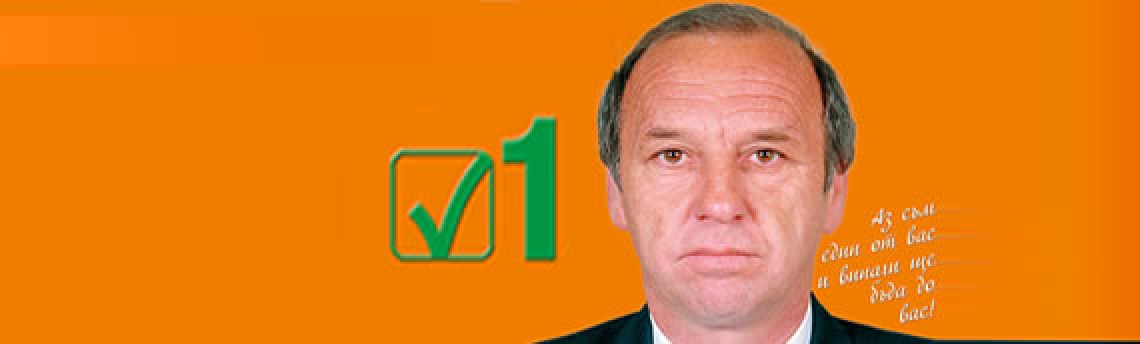 Частични местни избори, 7 октомври 2012 г.