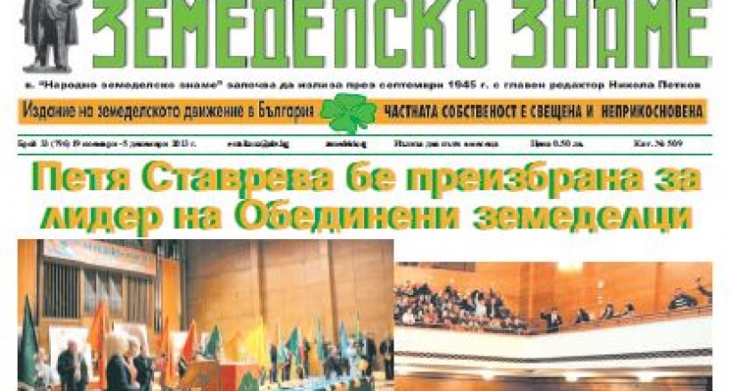 Брой 33