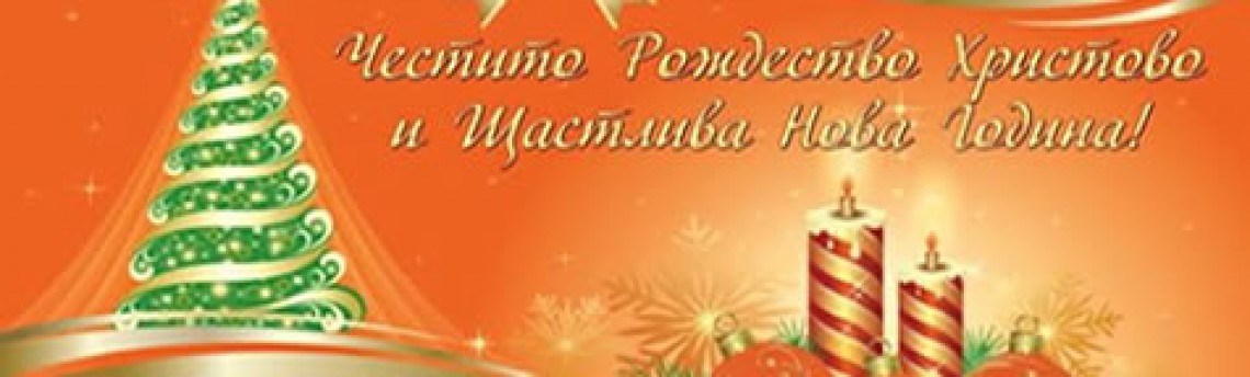 Весела Коледа и Успешна Нова 2014 година!